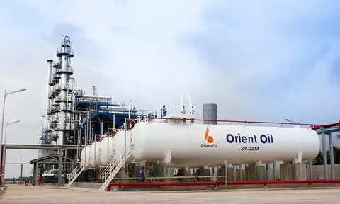 Cần Thơ công khai 357 doanh nghiệp nợ thuế, Công ty Cổ phần Dầu khí Đông Dương nợ hơn 1.000 tỷ đồng