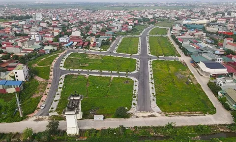 Bắc Ninh: Công ty Đồ gỗ Bảo Long và thương vụ trúng đấu giá đất vàng chênh lệch chỉ một gói…mì tôm!