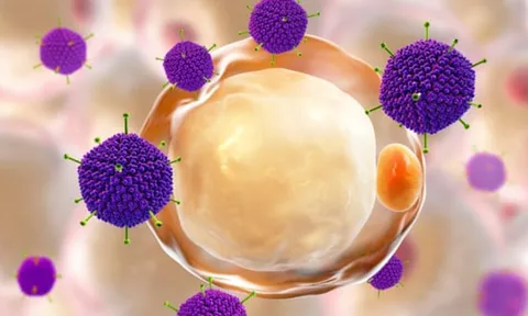 Ca viêm gan bí ẩn tiếp tục tăng tại Anh và Mỹ