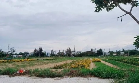 Các dự án của Công ty cổ phần Bách Đạt An: Lấy quyền lợi của dân làm 'con tin'