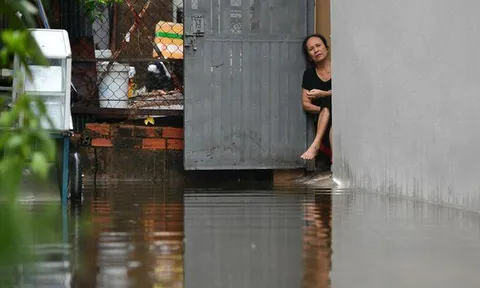 Lạ kỳ ngập nước mưa trên căn hộ tầng 8 chung cư cao cấp ở Hà Nội