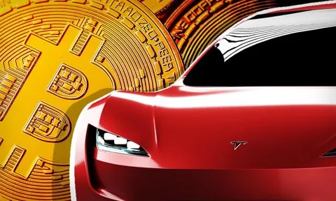 Các 'cá mập' Bitcoin như Tesla lỗ bao nhiêu khi giá tiền ảo này lao dốc?