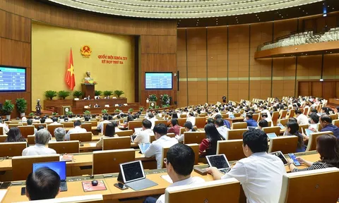 Biểu quyết Nghị quyết về phê chuẩn quyết toán ngân sách nhà nước 2020