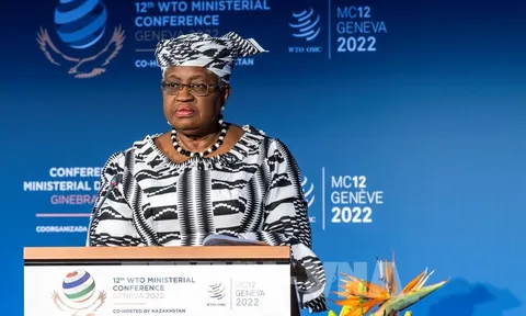 WTO đạt thỏa thuận khó ngờ sau khi họp xuyên đêm thứ hai liên tiếp
