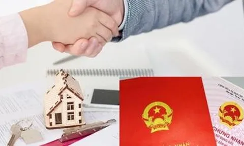 Áp bảng giá đất hay buộc giao dịch qua ngân hàng đều “bó tay” trước gian lận chuyển nhượng nhà đất?