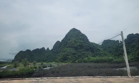 Quảng Ninh: Doanh nghiệp mới khai sinh được 40 ngày ẵm khu đất nghìn tỷ tại Cẩm Phả