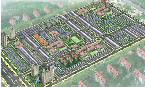 Tổng công ty Tín Nghĩa và Đầu tư Nhơn Trạch làm ăn ra sao dưới thời ông Quách Văn Đức vừa bị bắt?