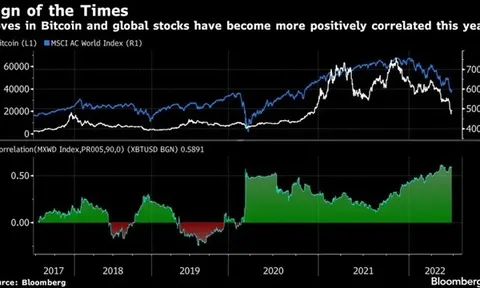 Bitcoin giúp dự báo đáy chứng khoán?