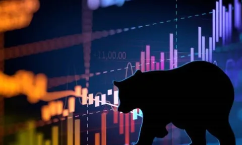 Chứng khoán Việt đang 'hóa gấu'?