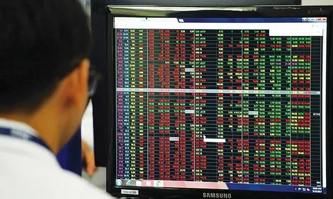 Cổ phiếu VN30 và VNMidcap có đủ hấp dẫn để “xuống tiền”?