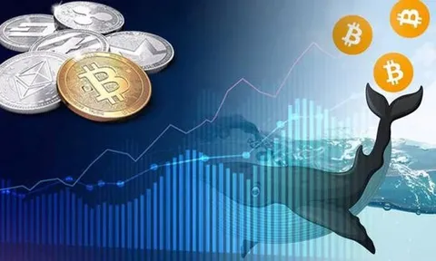 'Cá mập' tiền mã hóa trước nguy cơ vỡ nợ 670 triệu USD