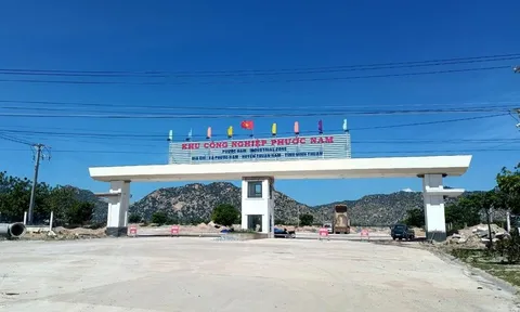 Chủ đầu tư khu công nghiệp Phước Nam khai thác trái phép 5.000 m3 đất