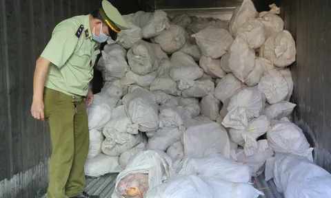 An Giang: Phát hiện 16 tấn thịt heo nhãn mác nước ngoài không hóa đơn