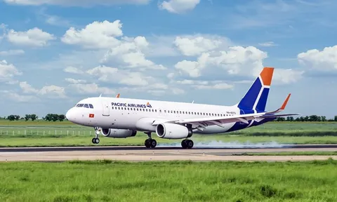 Tình hình tài chính của Pacific Airlines rất nghiêm trọng