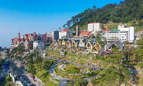 Vĩnh Phúc: Ngột ngạt “rừng” bê tông đang “bức tử” Tam Đảo (bài 1)