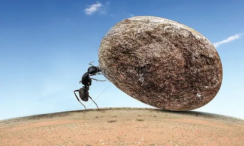 Có nên gồng lỗ cổ phiếu?