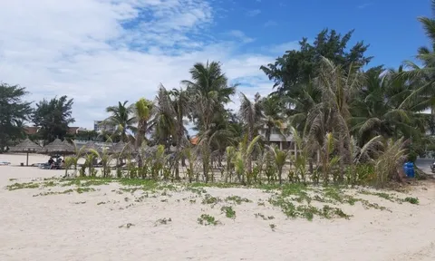 Dự án trái phép xâm lấn bãi biển, địa phương không biết?