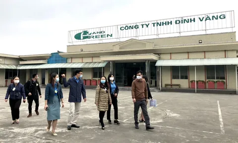 Công ty Đỉnh Vàng 10 năm 'ngâm' thực hiện dự án, tháo dỡ biệt thự được thuê?