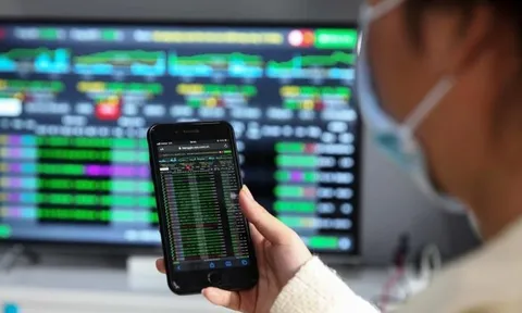 Cổ phiếu chứng khoán, bất động sản đua nhau tăng trần