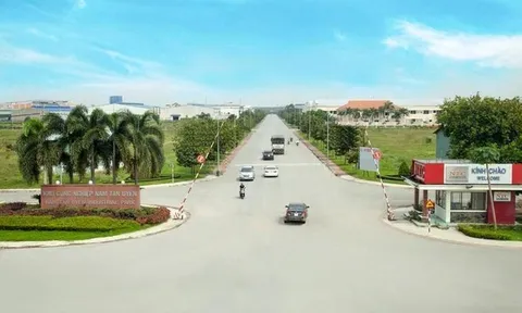 Quý II/2022, NTC tăng vay nợ thêm 218,6 tỷ đồng và chưa triển khai dự án trọng điểm