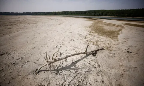 Anh ban bố tình trạng khẩn cấp vì nóng bất thường