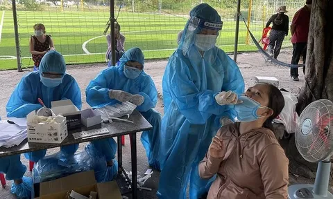 1 Trưởng Ban bảo vệ dân phố chiếm dụng 372 triệu tiền hỗ trợ COVID-19