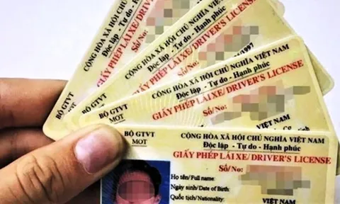 Gần 3.000 người mắc bệnh tâm thần được cấp giấy phép lái xe