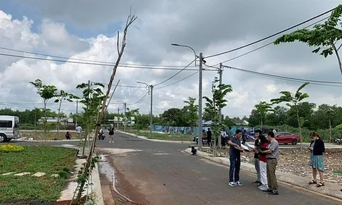 Thị trường đất nền chững lại, chuyên gia cảnh báo khu vực sẽ giảm giá mạnh