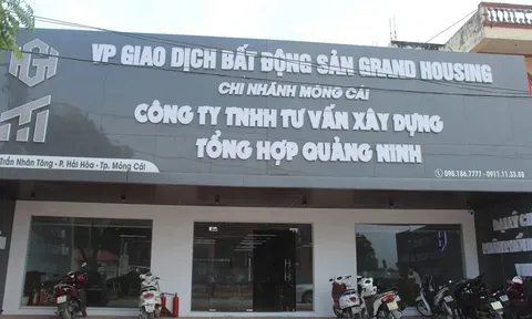 Đình chỉ hoạt động 13 văn phòng bất động sản ở Móng Cái