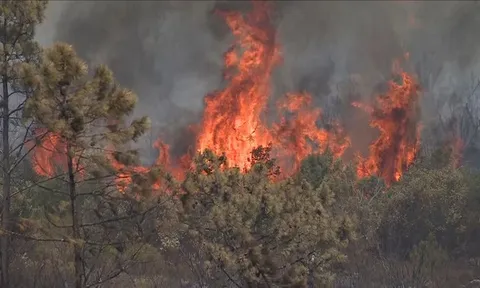 Nắng nóng kỷ lục gây cháy rừng ở nhiều nước châu Âu