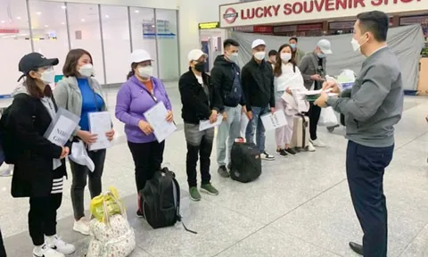 Châu Âu hút lao động Việt