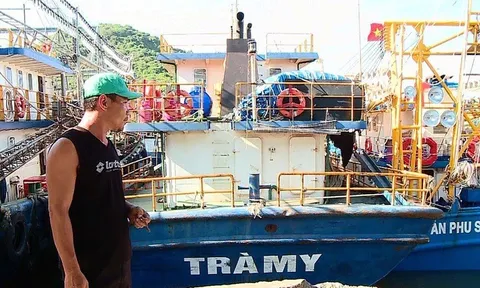 Nợ xấu cho vay đóng tàu 67 lên tới hơn 67%, riêng tại Bình Định là 98%