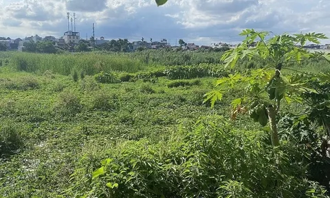 Dự án HP Elite Center Hải Phòng rao bán rầm rộ khi vẫn còn là bãi đất hoang?