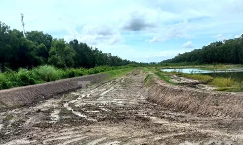 Ngang nhiên 'biến' 20.000m2 đất nông nghiệp thành Trường đua bò