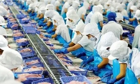 Vĩnh Hoàn: Lợi nhuận quý II tăng chậm hơn quý I và dòng tiền âm 304,4 tỷ đồng