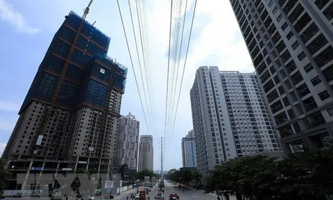 Sai phạm trên đường Lê Văn Lương: Rà soát, xử lý dứt điểm vi phạm