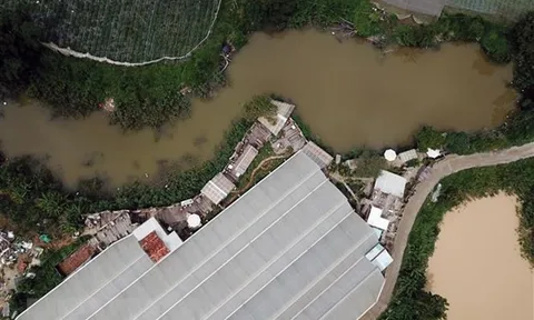 Lâm Đồng: Cưỡng chế các công trình vi phạm tại hồ thủy lợi Próh