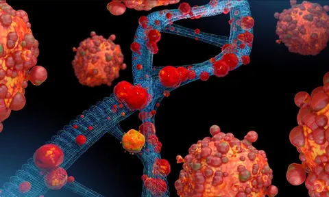 Đậu mùa khỉ: Từ dịch bệnh địa phương tới tình trạng khẩn cấp y tế toàn cầu