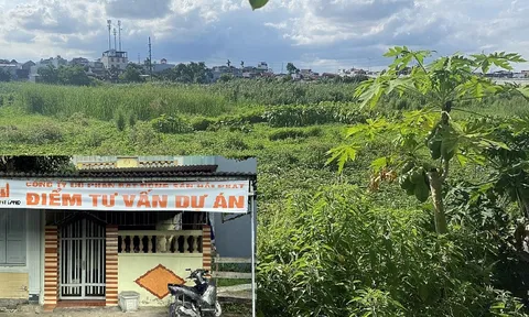 Đang là bãi đất hoang nhưng HP Elite Center Hải Phòng đã được rao bán rầm rộ