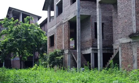 Cảnh nhếch nhác, hoang tàn ở những khu biệt thự 'triệu đô' phía Tây Hà Nội