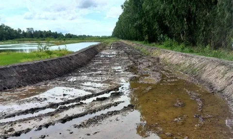 Sân đua bò 'chui' 20.000m2 trên đất nông nghiệp được xử lý như nào?