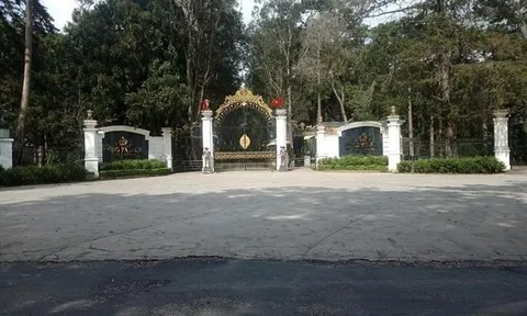 Sau chấm dứt dự án, Lâm Đồng thu hồi rừng đã giao cho Công ty Hoàn Cầu Đà Lạt