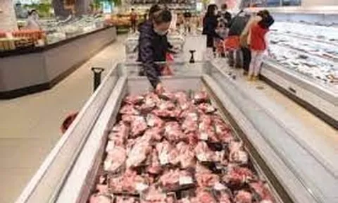 Lý do xăng dầu giảm giá mạnh nhưng giá hàng hóa và cước vận tải chưa 'hạ nhiệt'