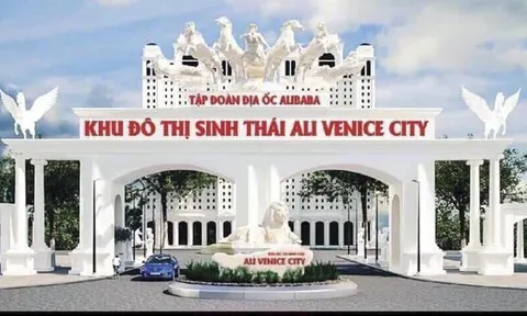 Vụ án Công ty Alibaba: 'Bánh vẽ' trên hàng trăm héc-ta đất nông nghiệp (kỳ 5)