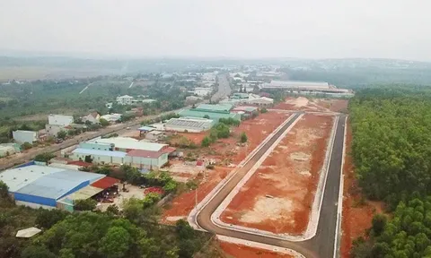 Bất thường bỏ cọc đấu giá đất tại Pleiku