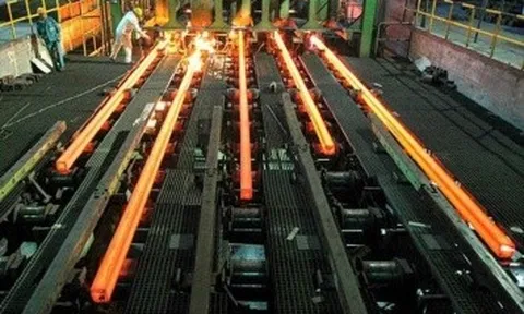 Kiểm toán nghi ngờ đáng kể khả năng hoạt động liên tục của Tisco