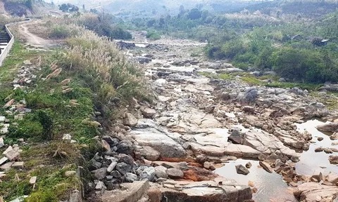 Kon Tum: Thuỷ điện được làm bằng mọi giá? (kỳ cuối)