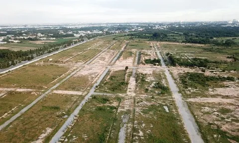 Người bán thịt heo đứng tên giám đốc công ty trăm tỉ thâu tóm 'đất vàng' Bình Dương