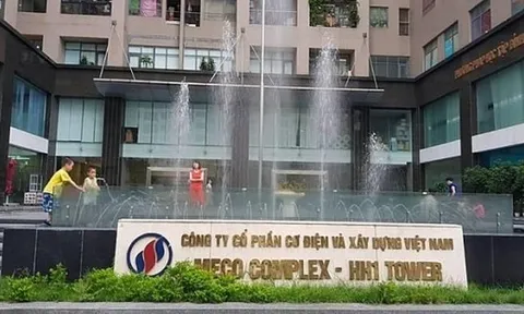 Vì sao Bất động sản MCG bị cưỡng chế thuế 5 tỷ, buộc ngừng sử dụng hóa đơn?