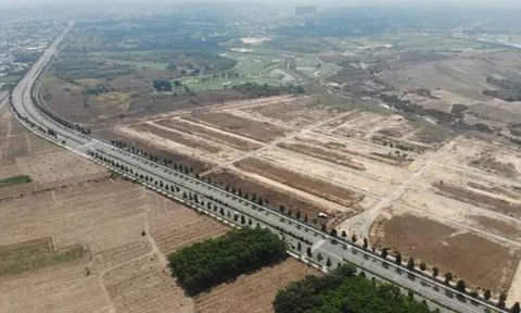 Kỷ luật hàng loạt cán bộ liên quan đến sai phạm đất công ở Tổng công ty 3/2